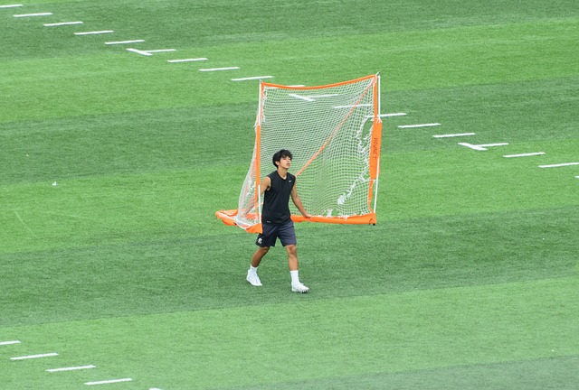 在职业生涯