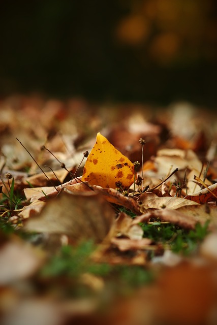 快速反击和 快速反击和