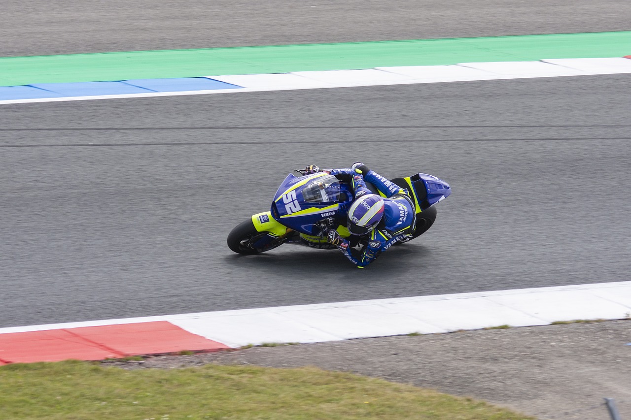 冠军的摇篮 冠军的摇篮