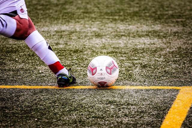 他们积累了 他们积累了