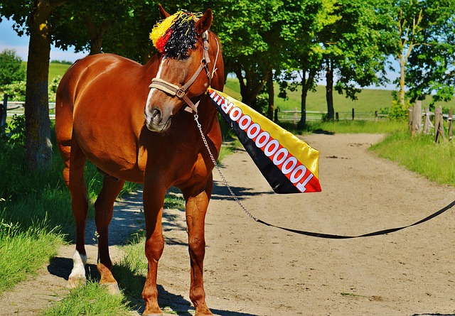 黄牌的情况 黄牌的情况