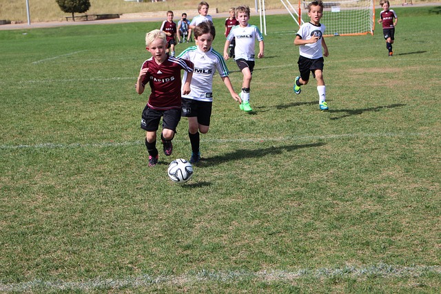 为其他球队 为其他球队