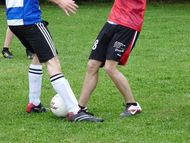 为詹姆斯争 为詹姆斯争