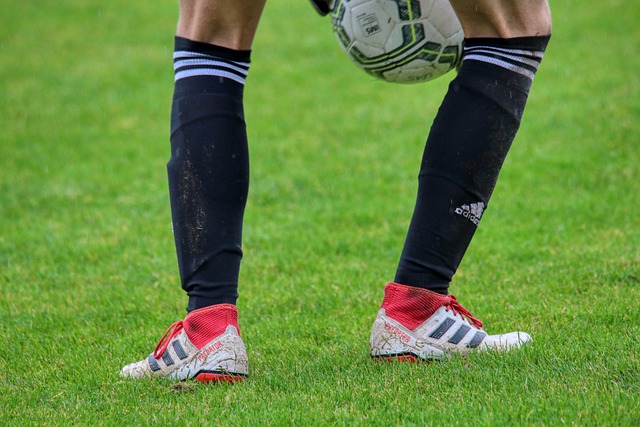 衡的一大利 衡的一大利