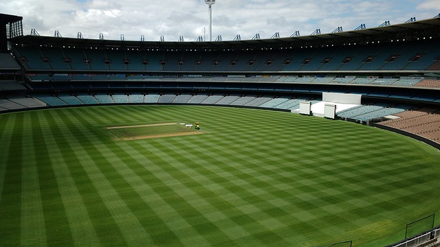 他们的核心 他们的核心