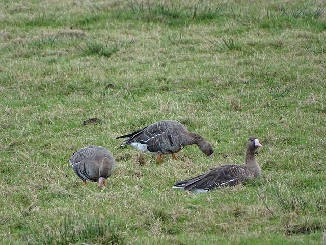 自成立以来 自成立以来