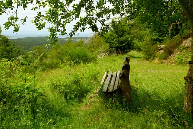 我们不妨比 我们不妨比