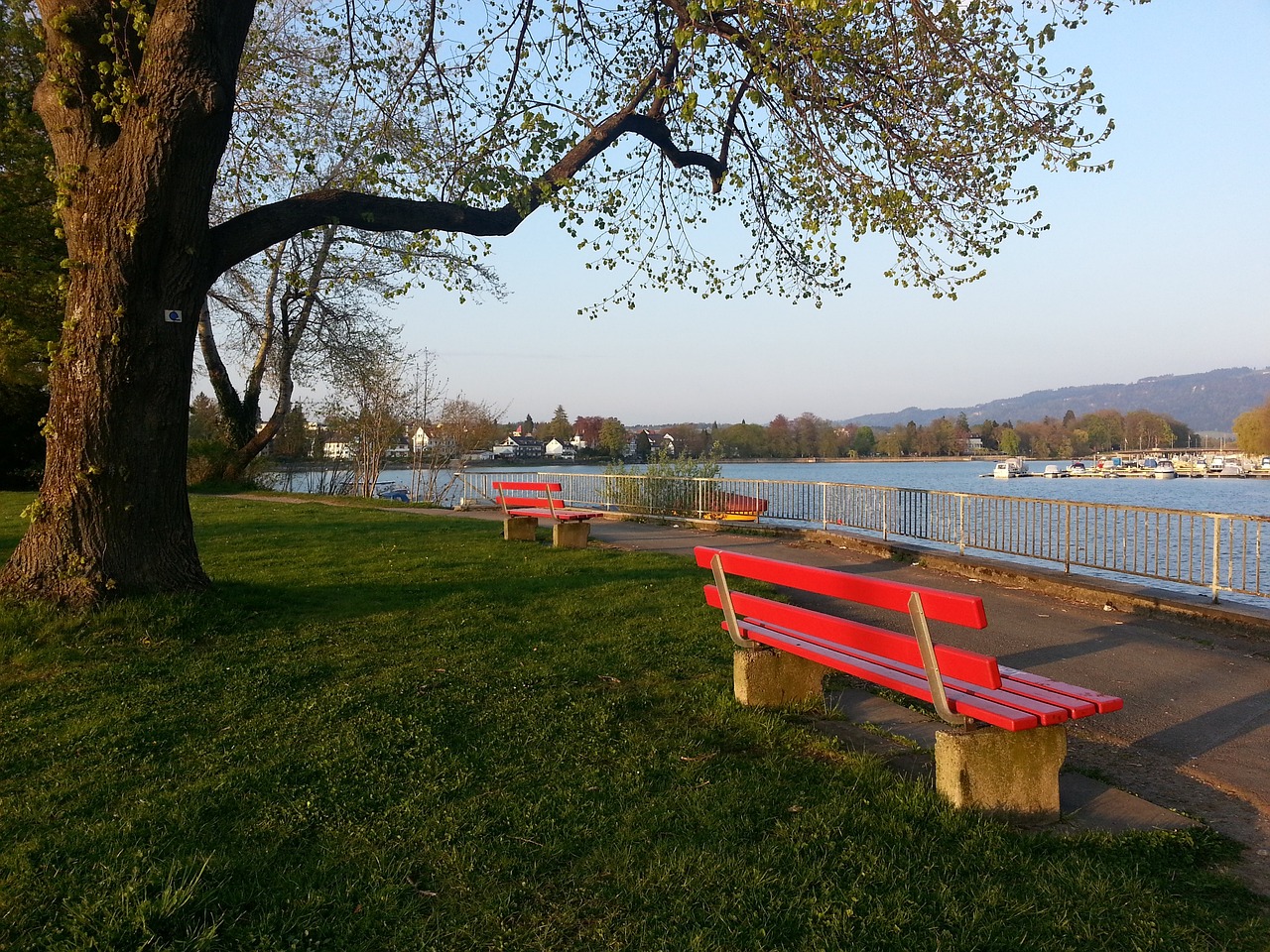 为引人注目 为引人注目