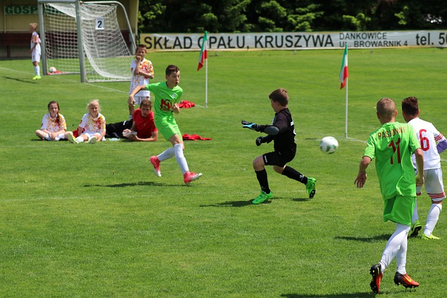 内蒙古以其 内蒙古以其